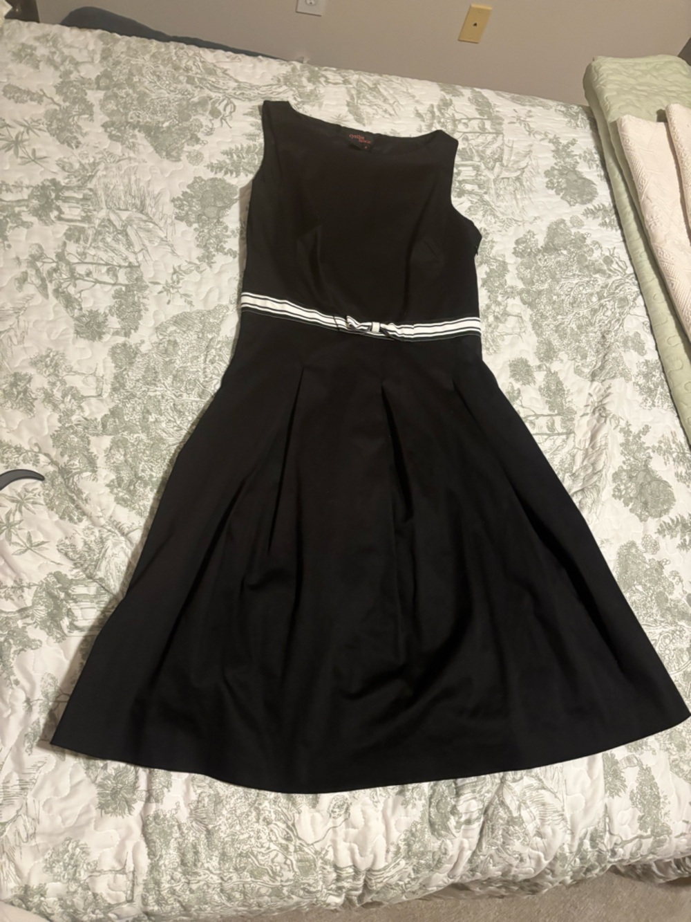 Cynthia Howie sz 8 Sleeveless Black dress fit flare snatched waist stripe ribbon - Picture 3 of 12